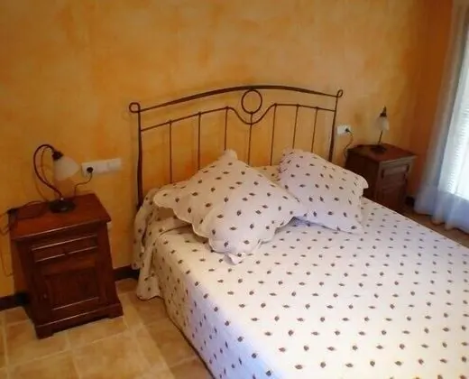 Standard Tek Büyük Yataklı Oda, Bahçe Manzaralı