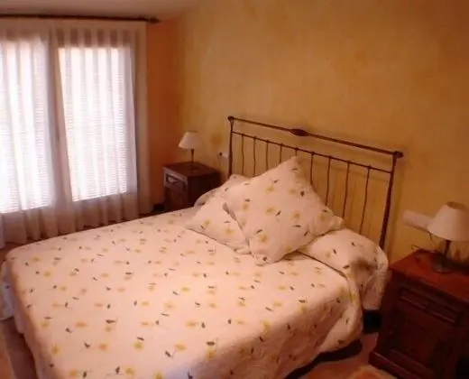 Standard Tek Büyük Yataklı Oda, Bahçe Manzaralı