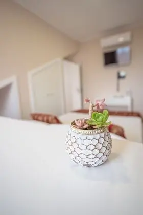 Deluxe Tek Büyük Yataklı Oda (With Extra Bed)