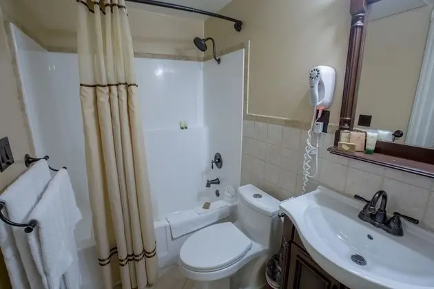 Oda, 1 En Büyük (King) Boy Yatak, Balkon, Şehir Manzaralı