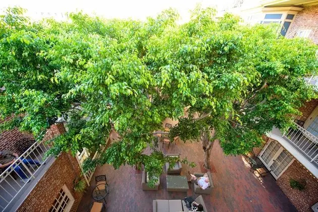Oda, 1 En Büyük (King) Boy Yatak, Balkon, Şehir Manzaralı