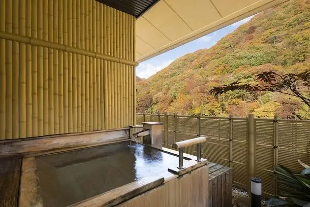Traditional Oda, Nehir Manzaralı (Japanese, Suite, Outdoor Bath, RT6)