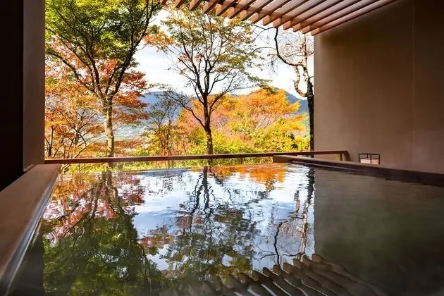 Traditional Süit (Japanese-style, w/ Outdoor Bath, RC3)