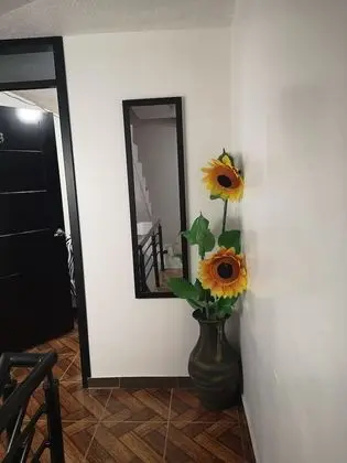 Family Oda, Göl Manzaralı