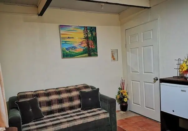 Standard Tek Büyük Yataklı Oda, 1 Çift Kişilik Yatak ve Çekyat, Buzdolabı