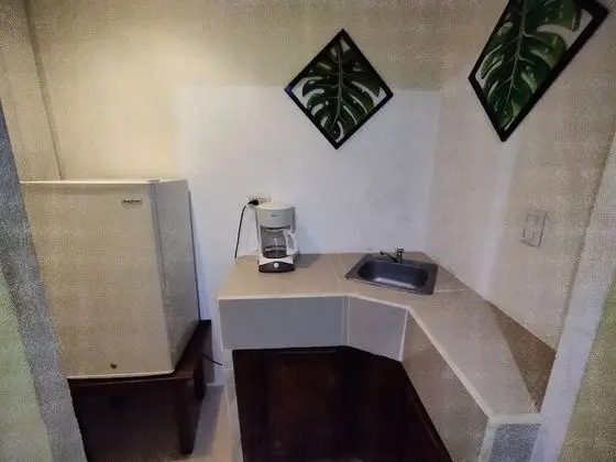 Standard Tek Büyük Yataklı Oda, 1 Çift Kişilik Yatak ve Çekyat, Buzdolabı