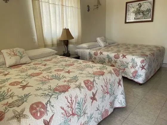 Basic Single Room, Two King Beds