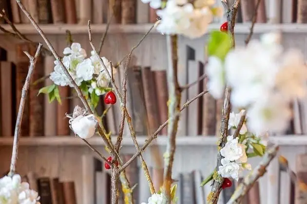 Premium Stüdyo Süit