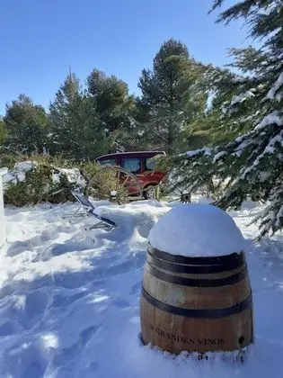 Romantic Stüdyo Süit