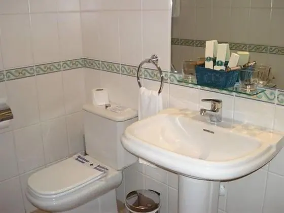 Basic Tek Büyük Yataklı Oda, Özel Banyo