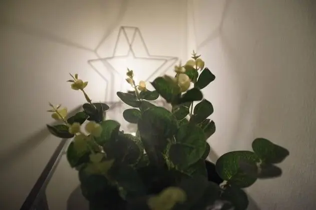 Tek Büyük Yataklı Oda (Charlot)