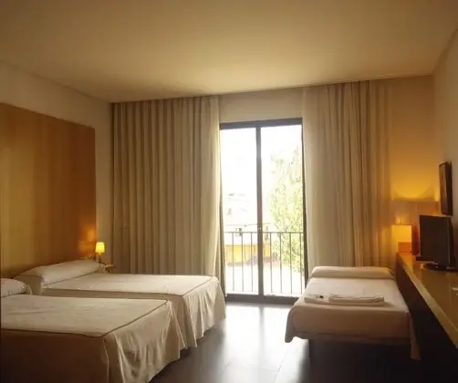 Tek Büyük Yataklı Oda (with extra bed: 3 adults)