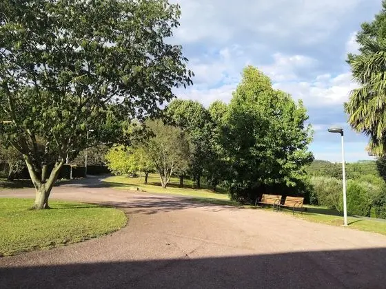 Tek Kişilik Oda, Dağ Manzaralı (Getsemani)