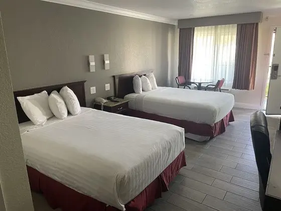 Deluxe Tek Büyük Yataklı Oda, 2 Çift Kişilik Yatak