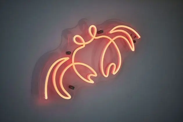 Ev