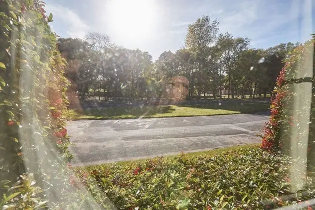 Ev