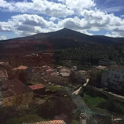 Superior İki Ayrı Yataklı Oda