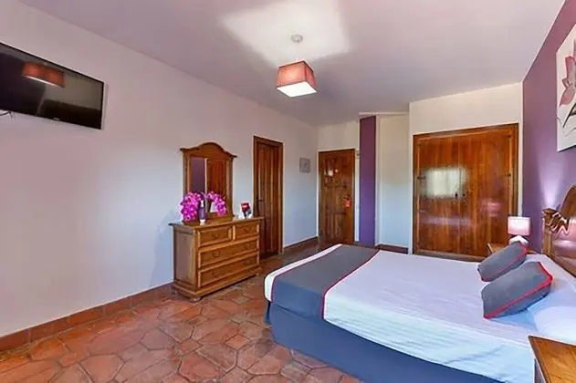 Superior Tek Büyük Yataklı Oda