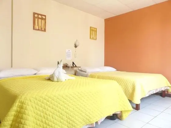 Comfort Tek Büyük Yataklı Oda