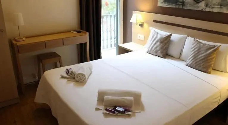 Classic Tek Büyük veya İki Ayrı Yataklı Oda, 1 Çift Kişilik Yatak