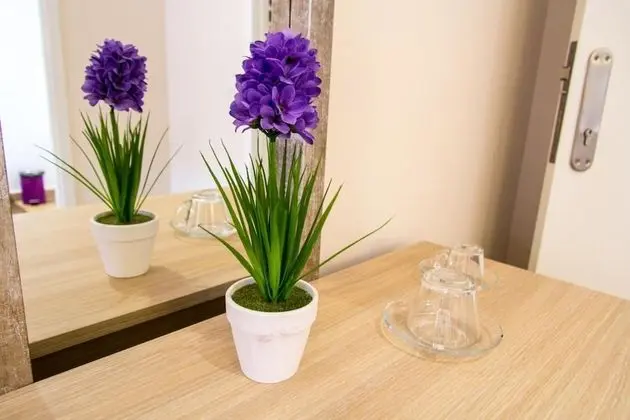 Superior Oda, 3 Yatak Odası, Özel Banyo