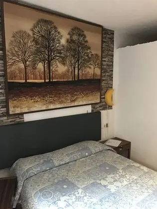 Tek Büyük Yataklı Oda, 1 Çift Kişilik Yatak, Özel Banyo