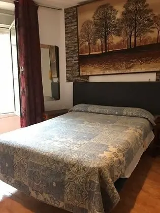 Tek Büyük Yataklı Oda, 1 Çift Kişilik Yatak, Özel Banyo