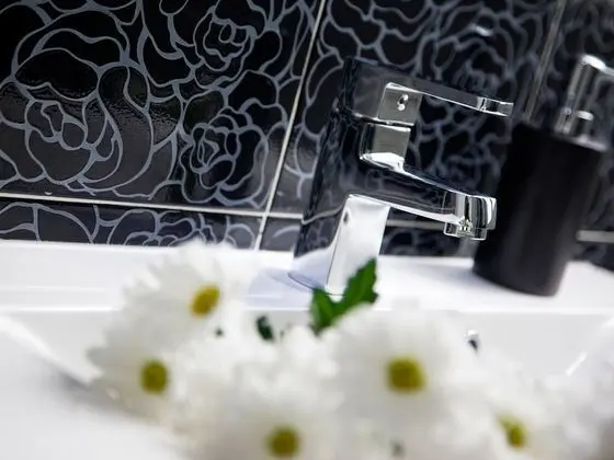 Banyo lavabosu
