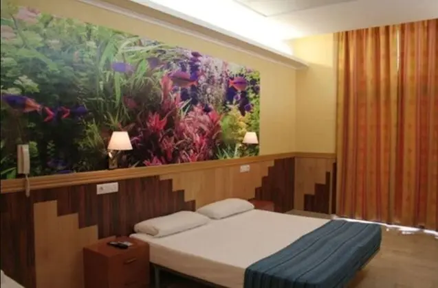 Tek Büyük Yataklı Oda (2 extra beds)