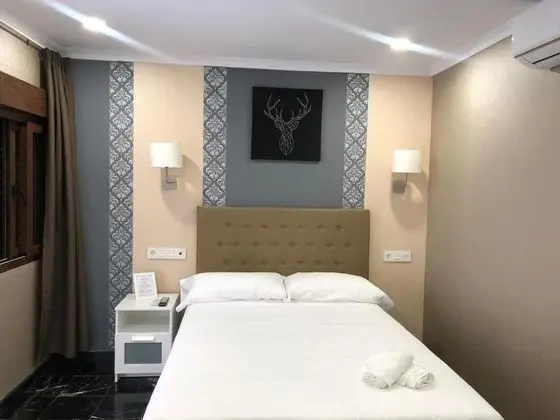 Standard Tek Büyük Yataklı Oda, Avlu Manzaralı