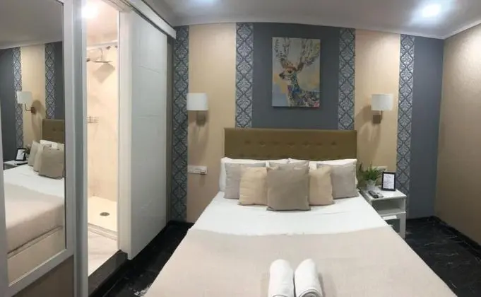 Standard Tek Büyük Yataklı Oda, Avlu Manzaralı