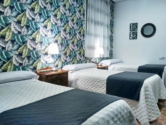 Standard Tek Büyük Yataklı Oda (With extra bed )