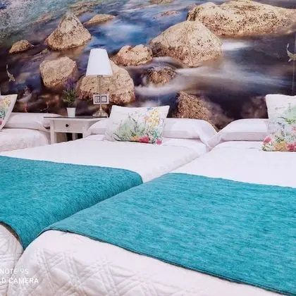 Standard Tek Büyük Yataklı Oda (With extra bed )