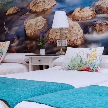 Standard Tek Büyük Yataklı Oda (With extra bed )