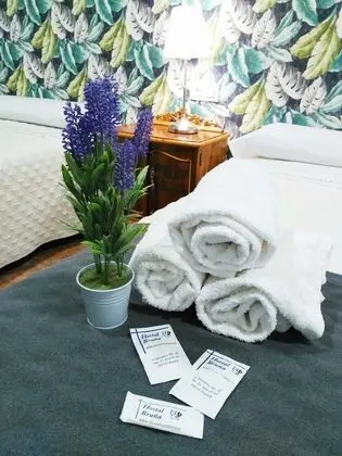 Standard Tek Büyük Yataklı Oda (With extra bed )