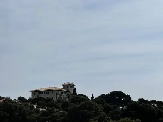 Standard Büyük Yataklı Tek Kişilik Oda, Balkon
