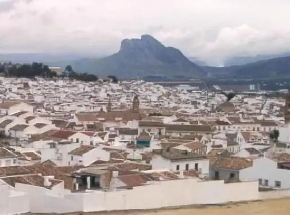 Classic Tek Kişilik Oda, 1 Tek Kişilik Yatak