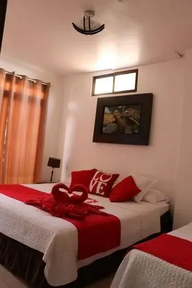 Tek Büyük Yataklı Oda, 1 Çift Kişilik Yatak