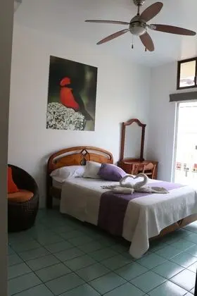 Tek Büyük Yataklı Oda, 1 Çift Kişilik Yatak
