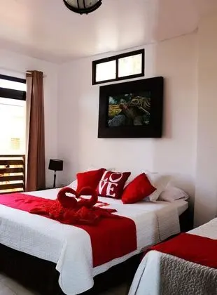 Tek Büyük Yataklı Oda, 1 Çift Kişilik Yatak