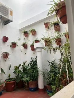 Tek Büyük Yataklı Oda, Avlu Manzaralı
