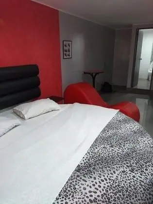 Premium Tek Büyük Yataklı Oda, 1 En Büyük (King) Boy Yatak