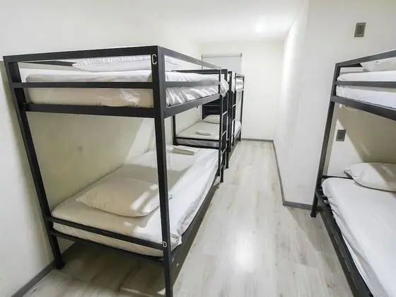 Ortak Ranzalı Oda, Sigara İçilmez, Şehir Manzaralı (2 bunk beds)