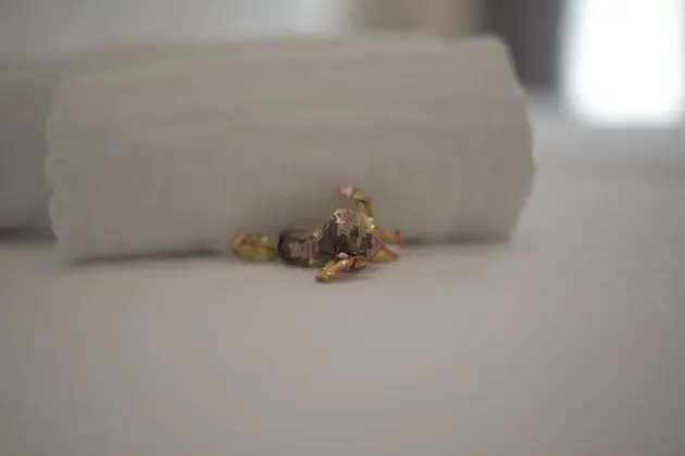 Standard Tek Büyük veya İki Ayrı Yataklı Oda