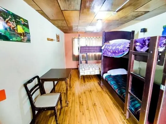 Basic Ortak Ranzalı Oda, Karma Ranzalı Oda (4 beds)