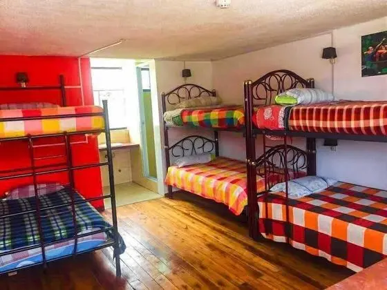 Basic Ortak Ranzalı Oda, Karma Ranzalı Oda (4 beds)