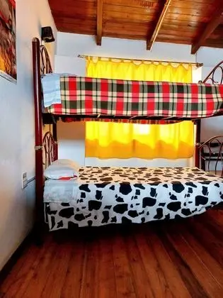 Basic Ortak Ranzalı Oda, Karma Ranzalı Oda (4 beds)