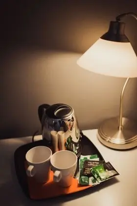 Superior Tek Büyük Yataklı Oda, Teras