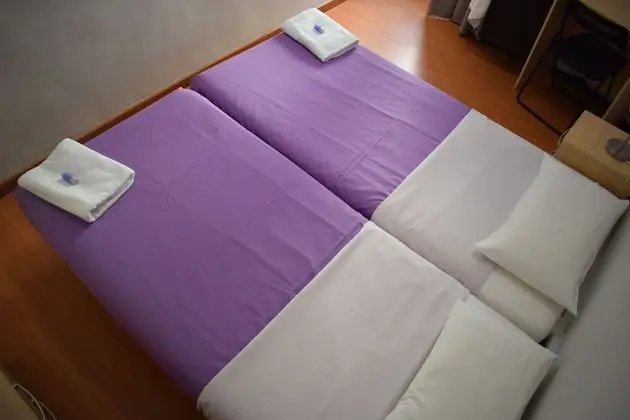 Standard İki Ayrı Yataklı Oda, Ortak Banyo, Şehir Manzaralı