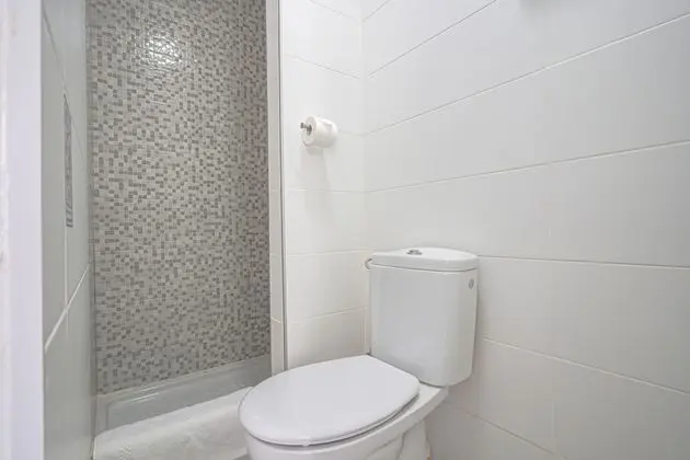 Basic Tek Büyük Yataklı Oda, Özel Banyo (Extra bed)